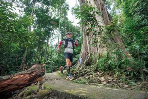 BIB: 
                            <button type="button" onclick="openModal(24809755)" class="btn btn-primary btn-sm float-right btn-popup" data-toggle="modal" data-target=".modal-high-quality">
                        <i class="fas fa-shopping-cart"></i> Add to Cart
                    </button>
                                            <button type="button" onclick="isThisMe(24809755, true)" class="btn btn-success btn-sm float-right btn-popup btn-isme hidden" data-toggle="tooltip" data-placement="bottom" title="นี่คือรูปของคุณใช่ไหม คลิกที่นี่เพื่อเอาเข้าอัลบั้ม">
                        <i class="fas fa-plus"></i> Add to album
                    </button>
                    <button type="button" onclick="isThisMe(24809755, false)" class="btn btn-warning btn-sm float-right btn-popup btn-isnotme hidden">
                        <i class="fas fa-ban"></i> Remove from album
                    </button>